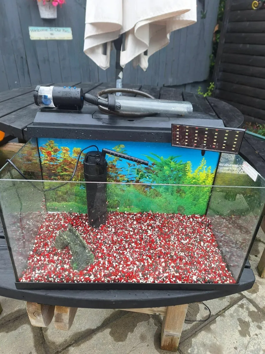 Fish Tank & Stand