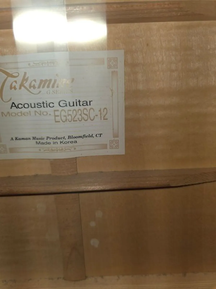 Takamine Guitar