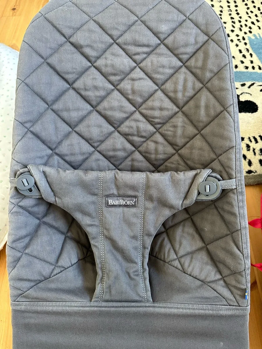 Baby bjorn bouncer - Image 2