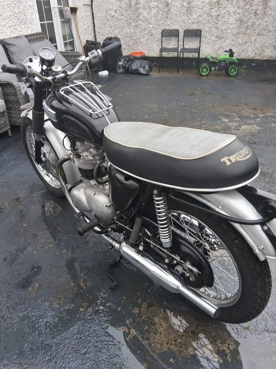 Triumph T100 500 - Image 3