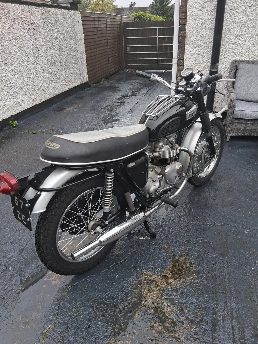 Triumph T100 500 - Image 4