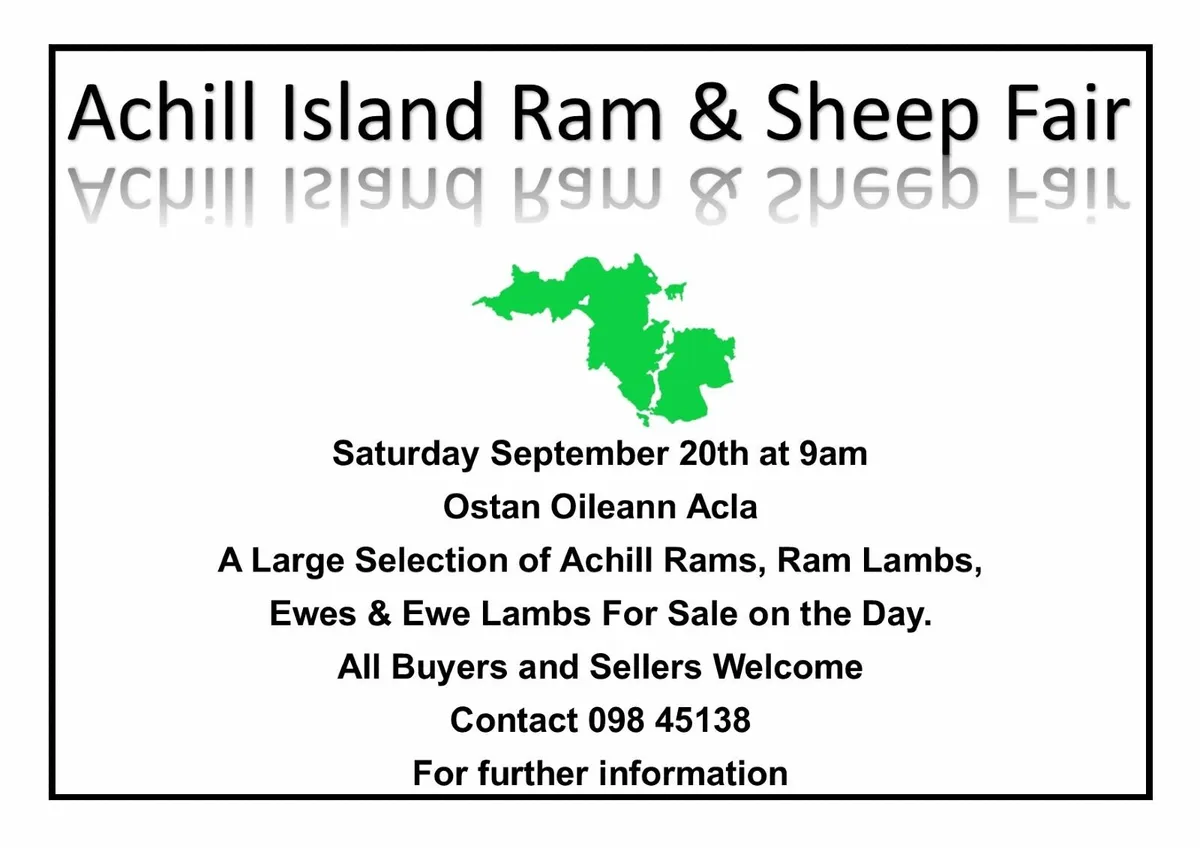 Achill Sheep Fair - Image 1