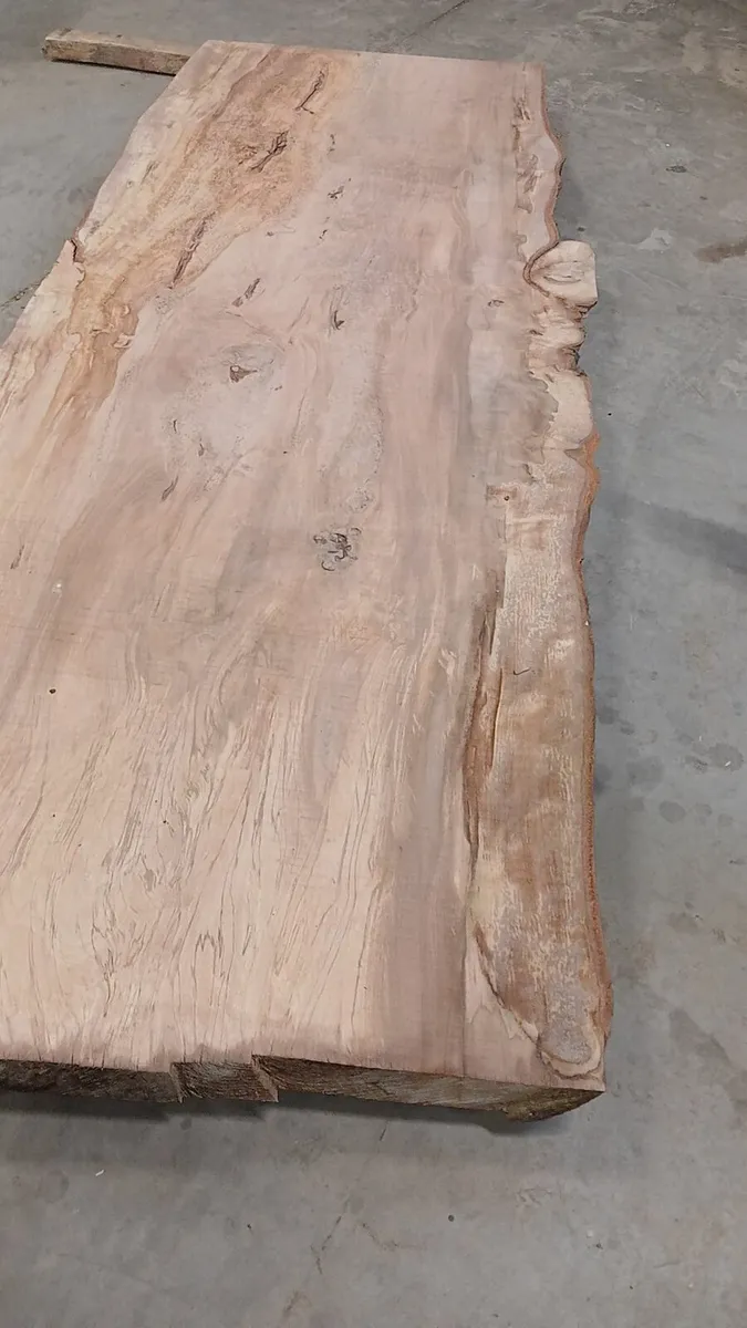 Live edge beach  slabs table top - Image 2