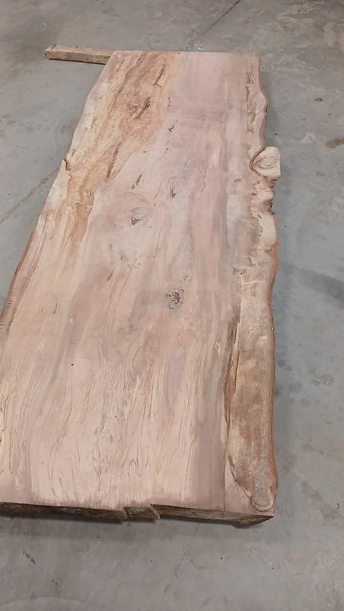 Live edge beach  slabs table top - Image 3