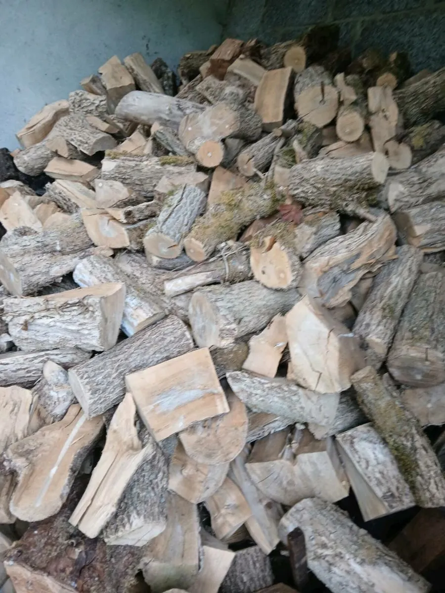 Ash Firewood - Image 4