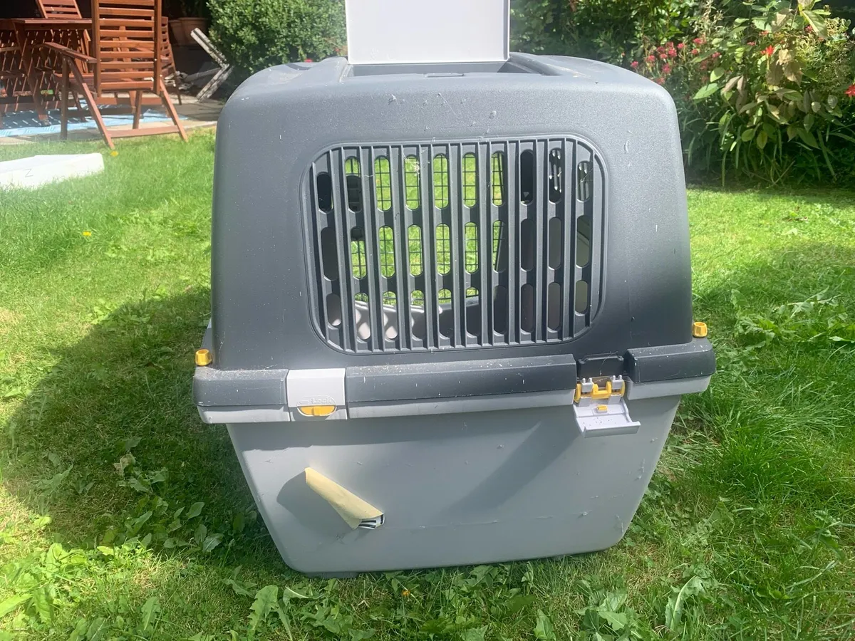 Travel basket for dog - Image 2