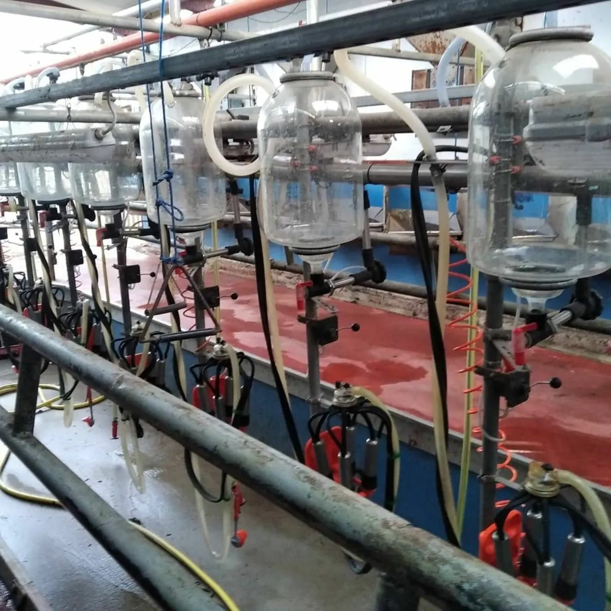 Fullwood Milking  Machine