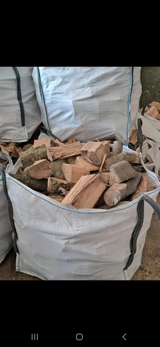 Firewood - Image 2