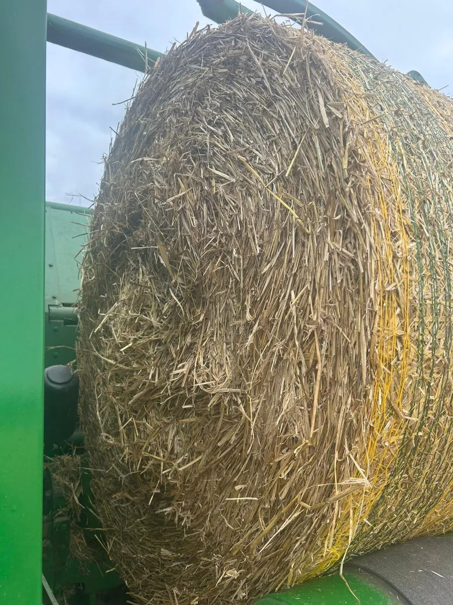Straw - Image 1