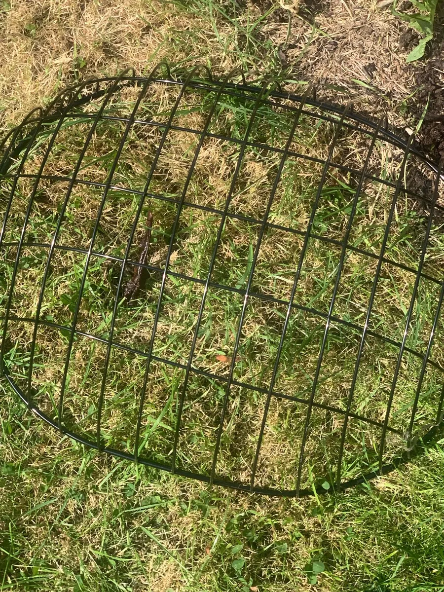 Pet basket - Image 2