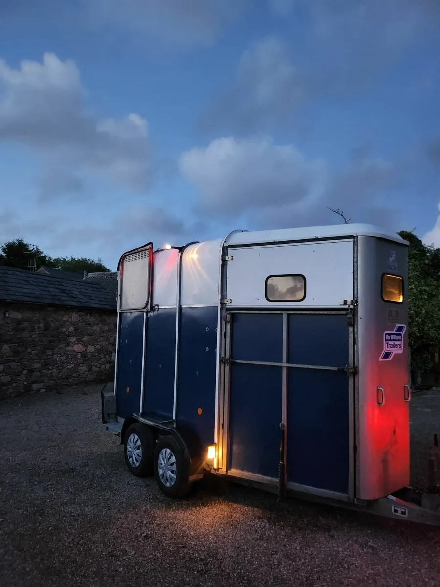 Horse box - Image 4