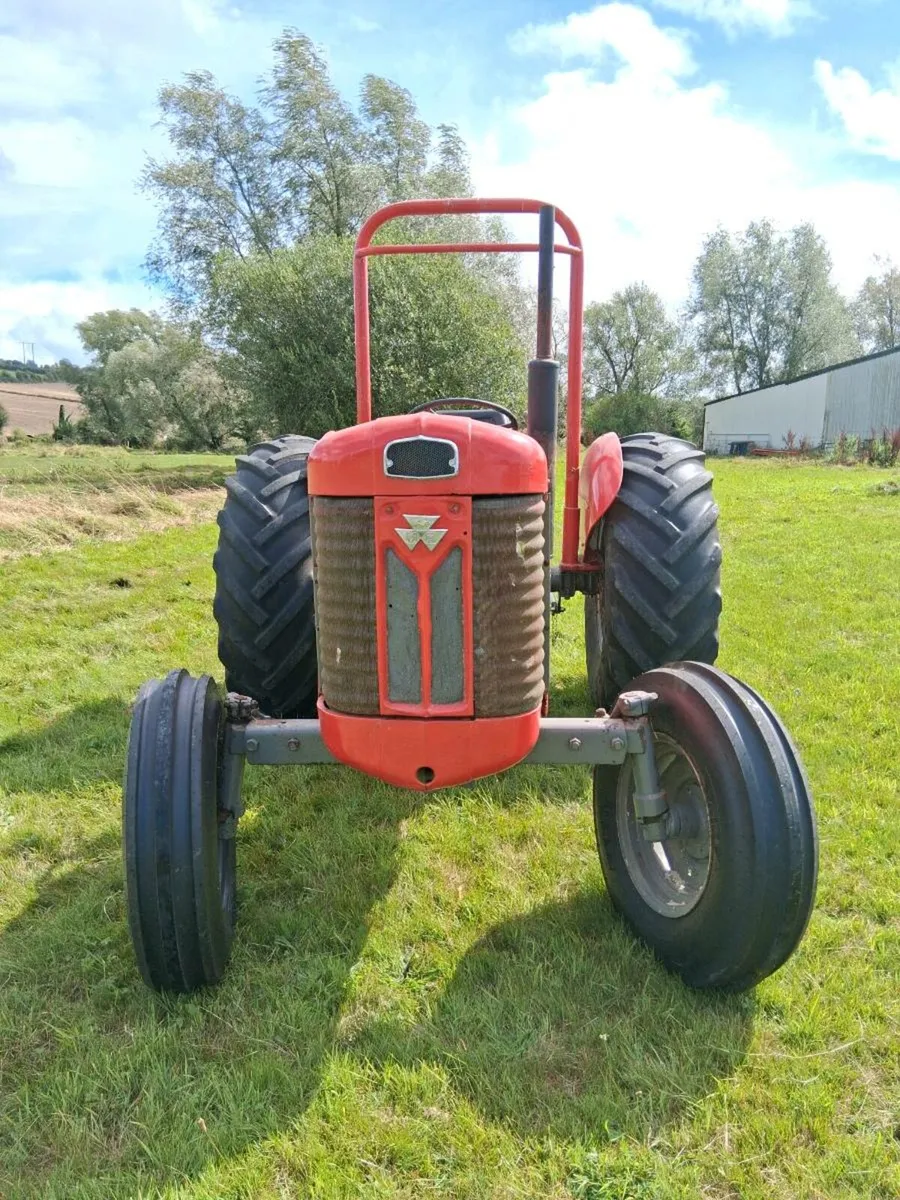 Massey ferguson 65 - Image 2