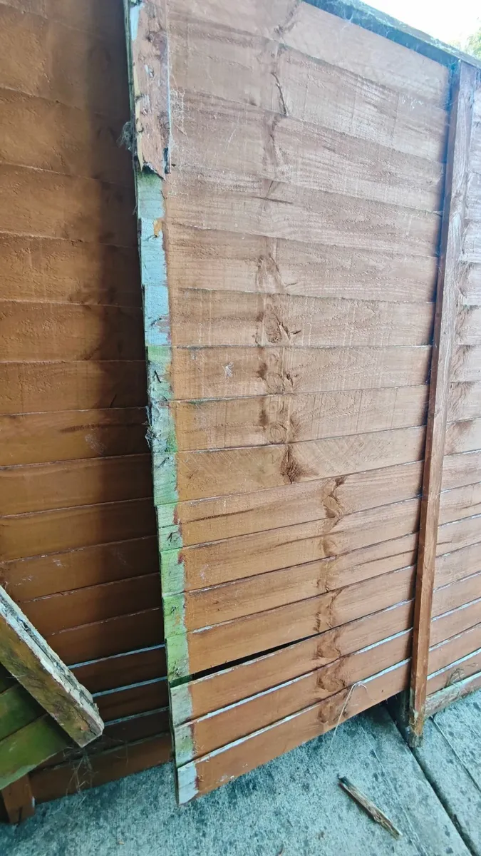Damaged Fencing and Pallet - Image 2