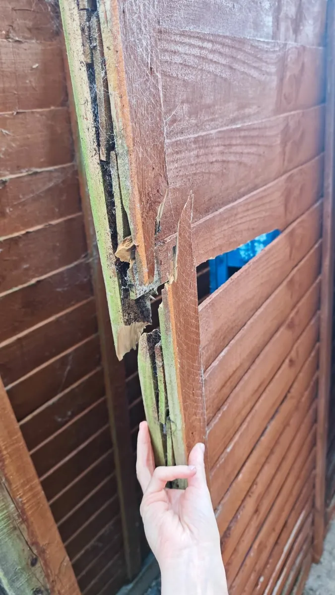 Damaged Fencing and Pallet - Image 3