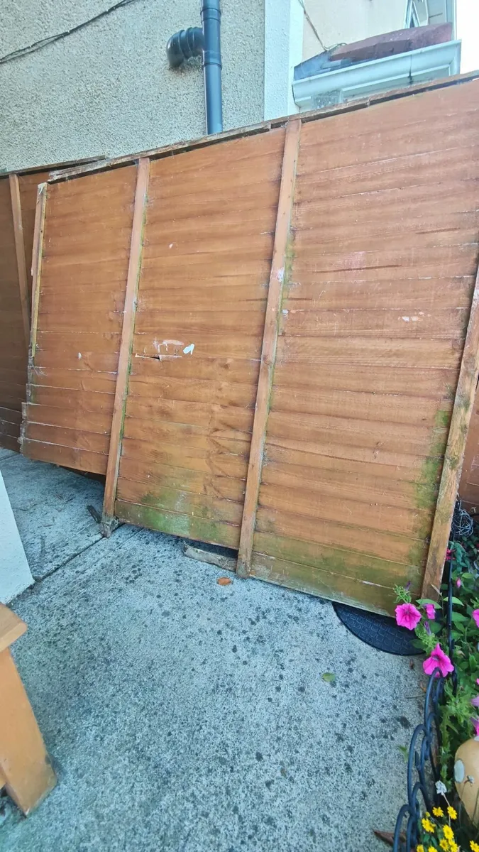 Damaged Fencing and Pallet - Image 4