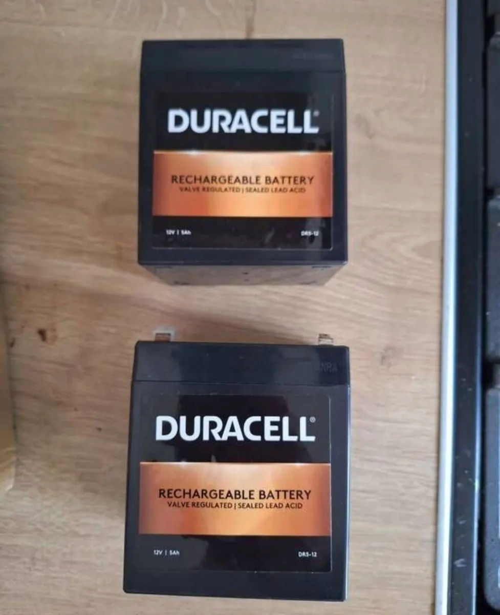 2 x Duracell 12v Batteries