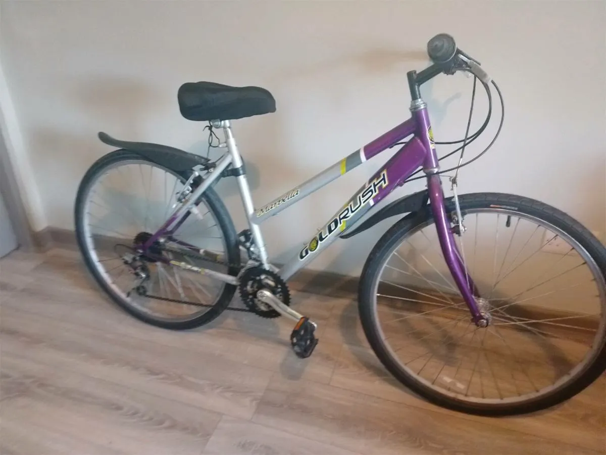 Bike - Image 1