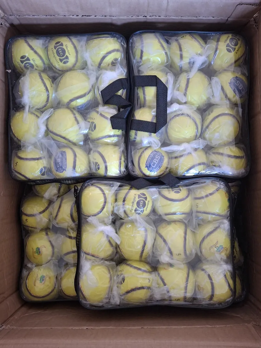 Sliotars - Image 2