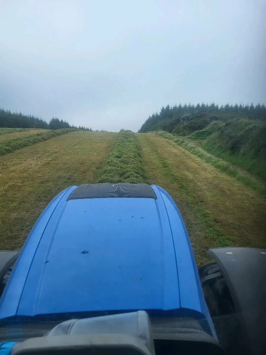 Silage bales - Image 3