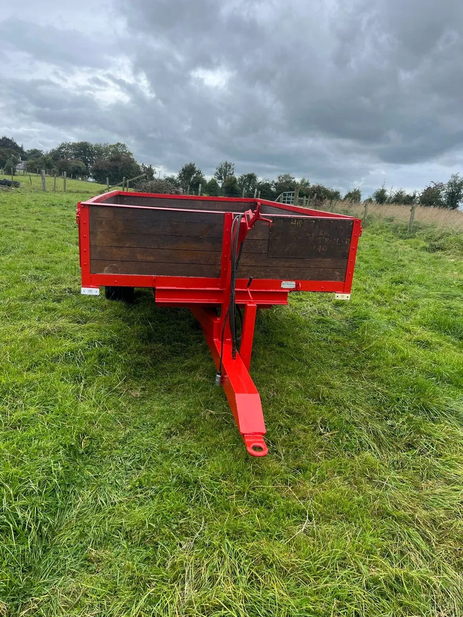 Tipping trailer - Image 2