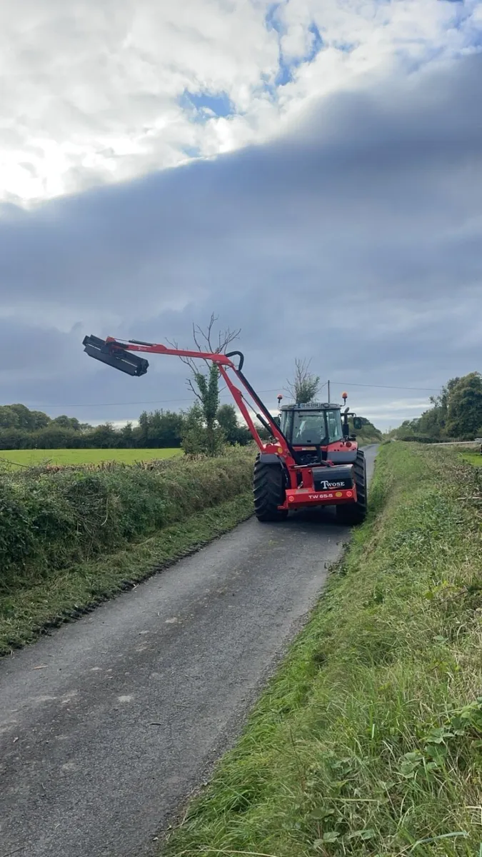 Hedge cutting - Image 1
