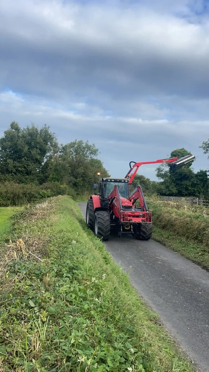 Hedge cutting - Image 4