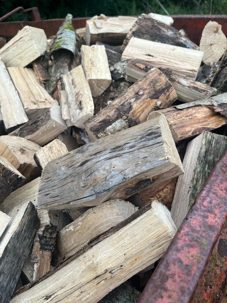 Hardwood Beech Firewood Blocks For Sale - Image 1
