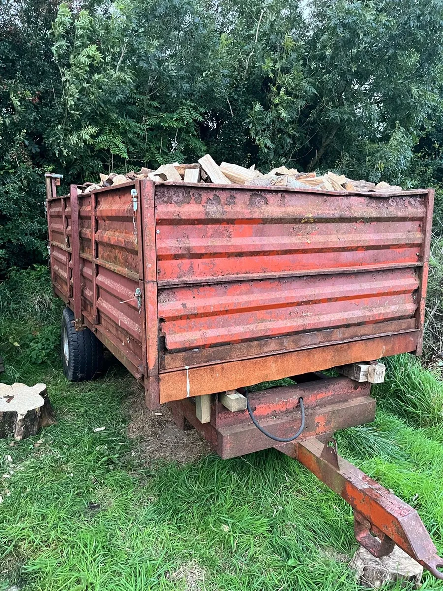 Hardwood Beech Firewood Blocks For Sale - Image 2
