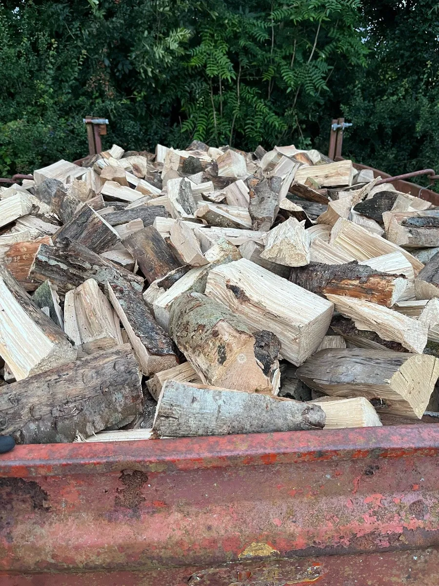 Hardwood Beech Firewood Blocks For Sale - Image 3