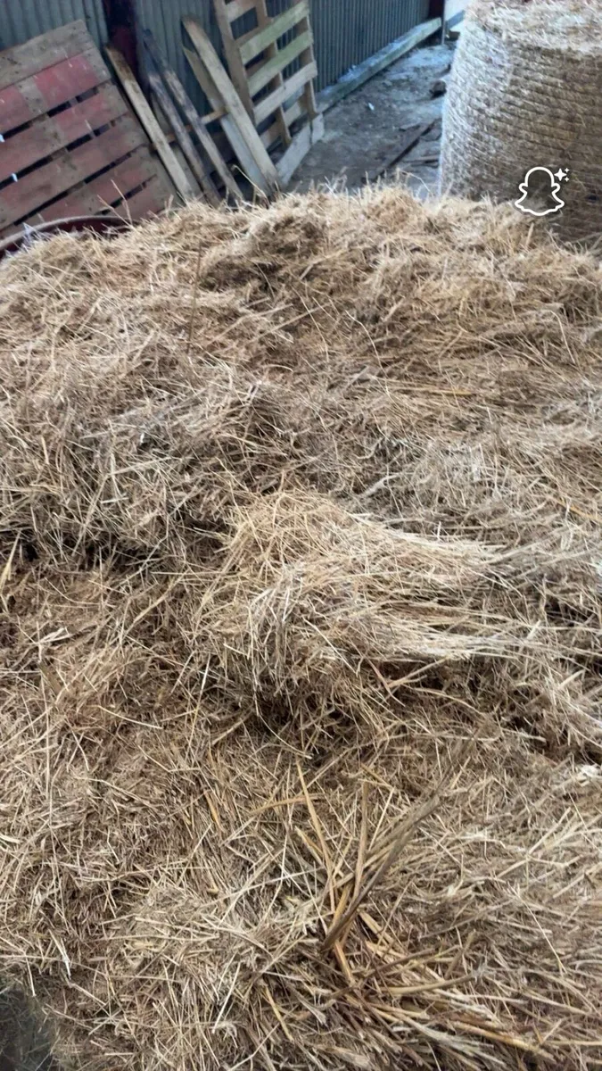 Bedding - Image 3