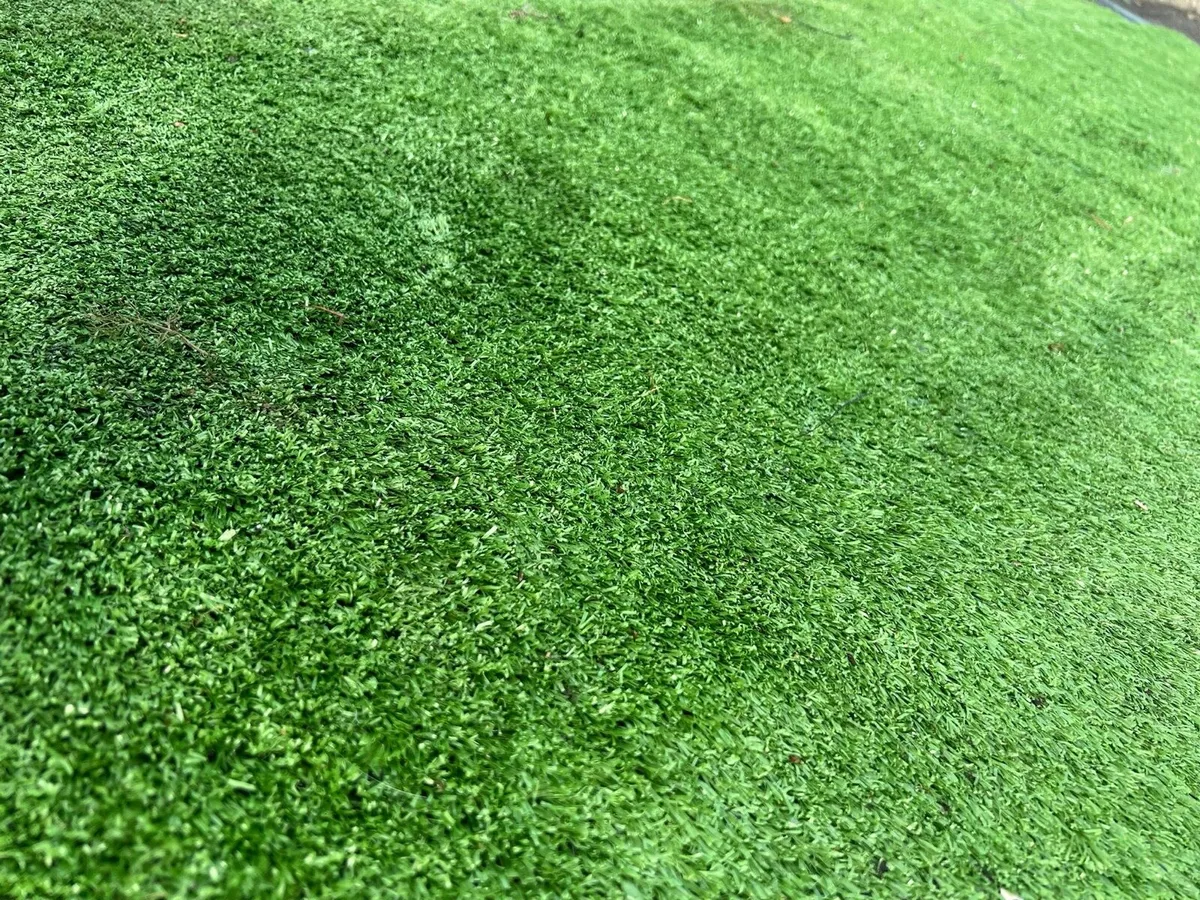 Astroturf - Image 2