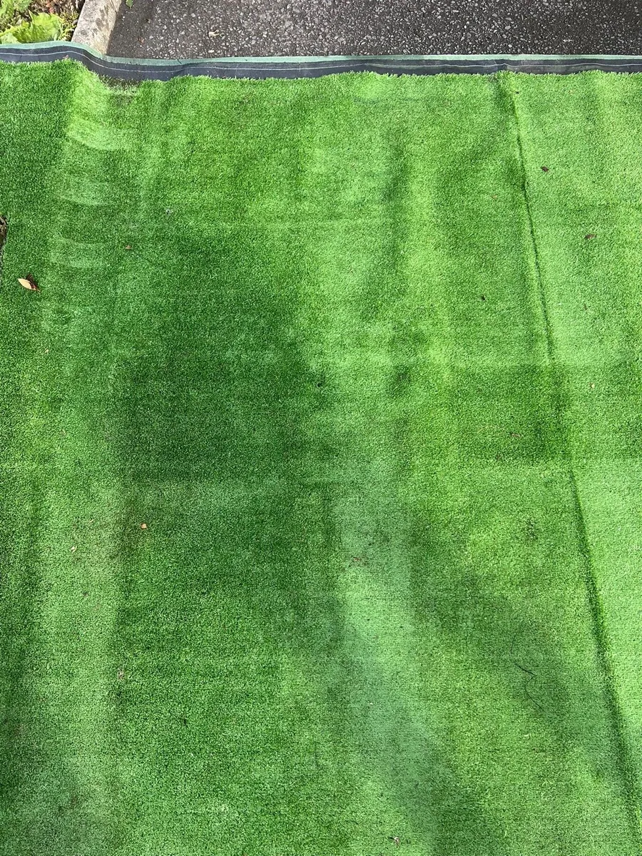 Astroturf - Image 3