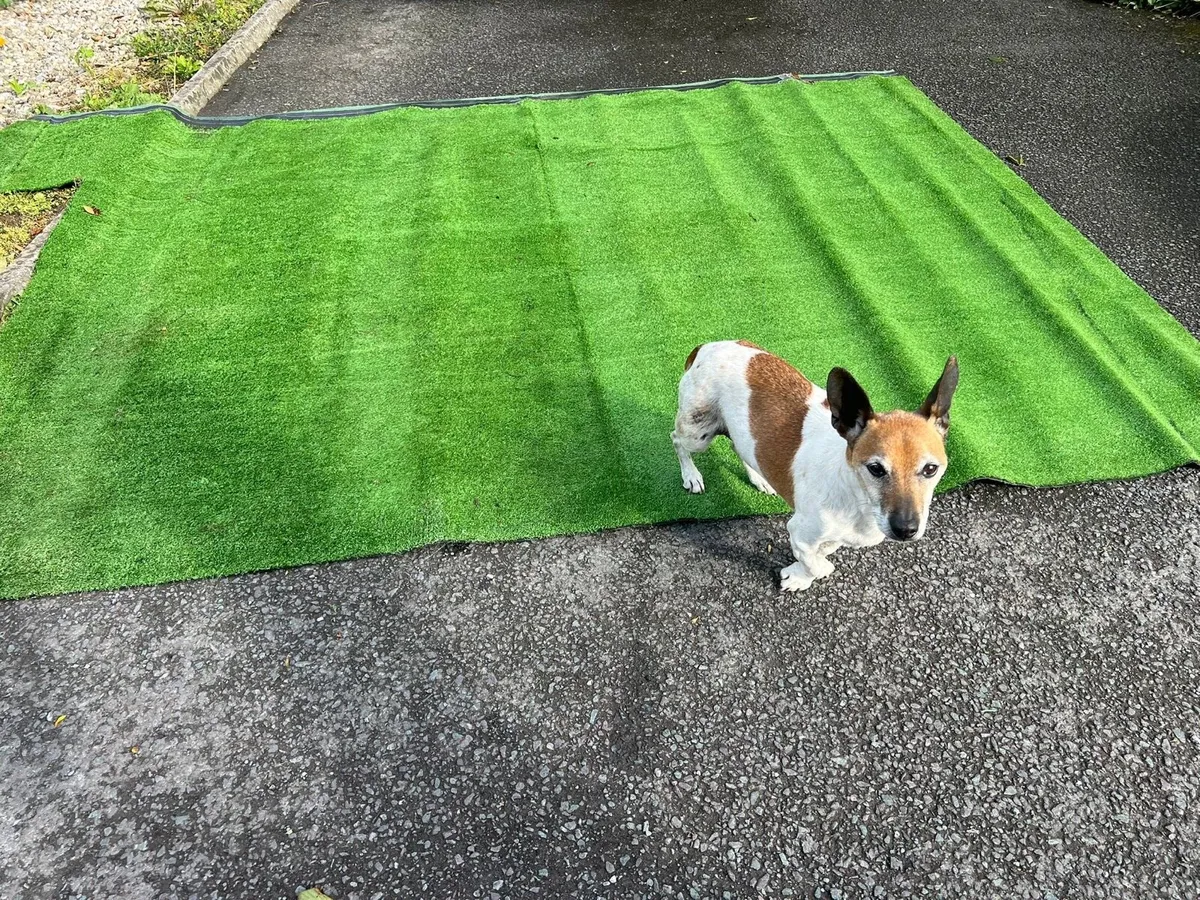 Astroturf - Image 4