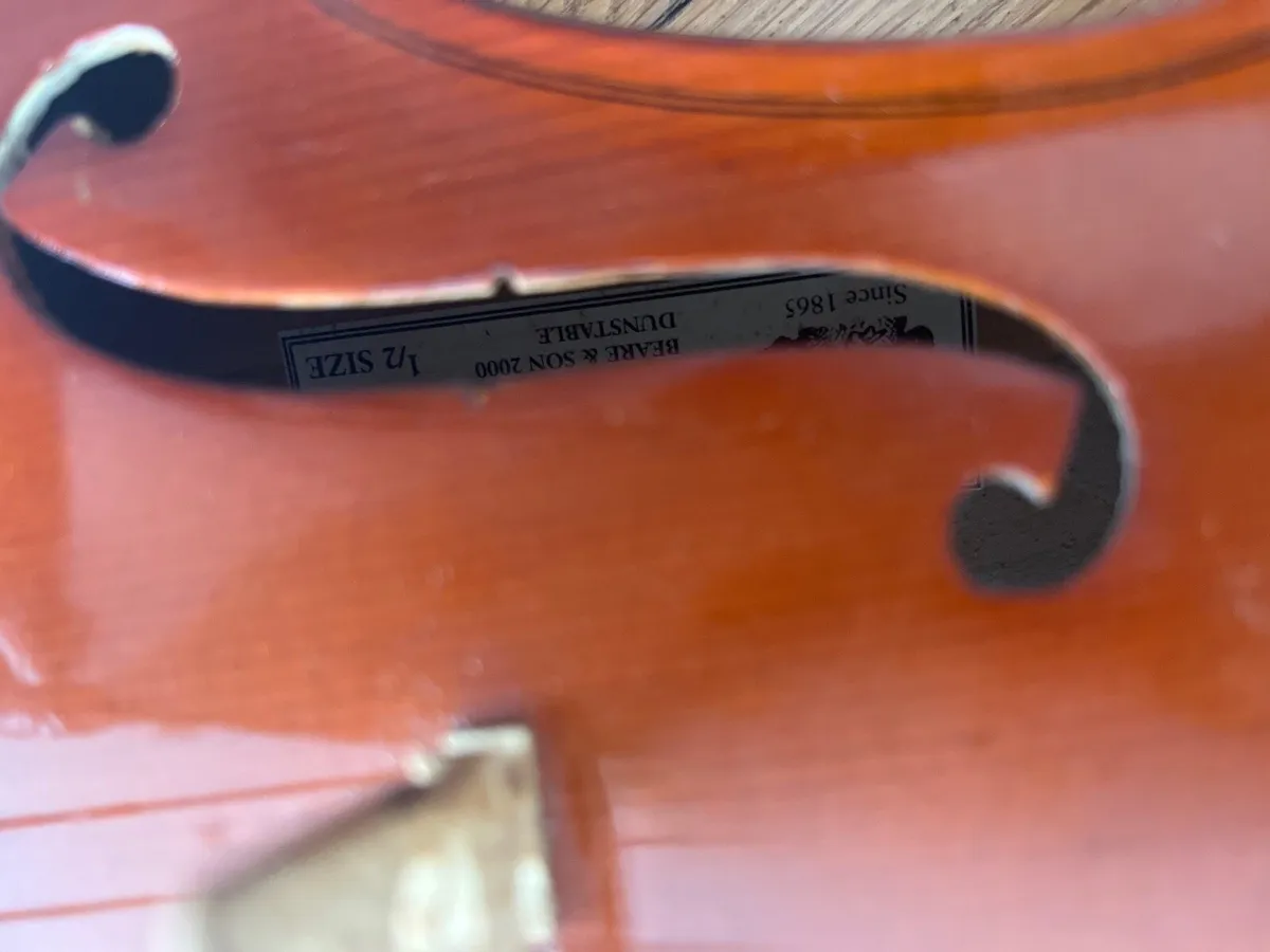 Viola - Image 4