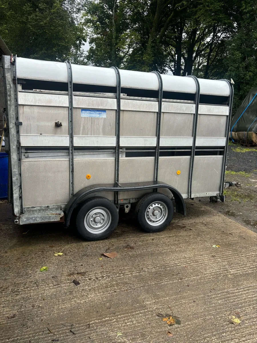 Ifor Williams livestock cattle sheep trailer - Image 2
