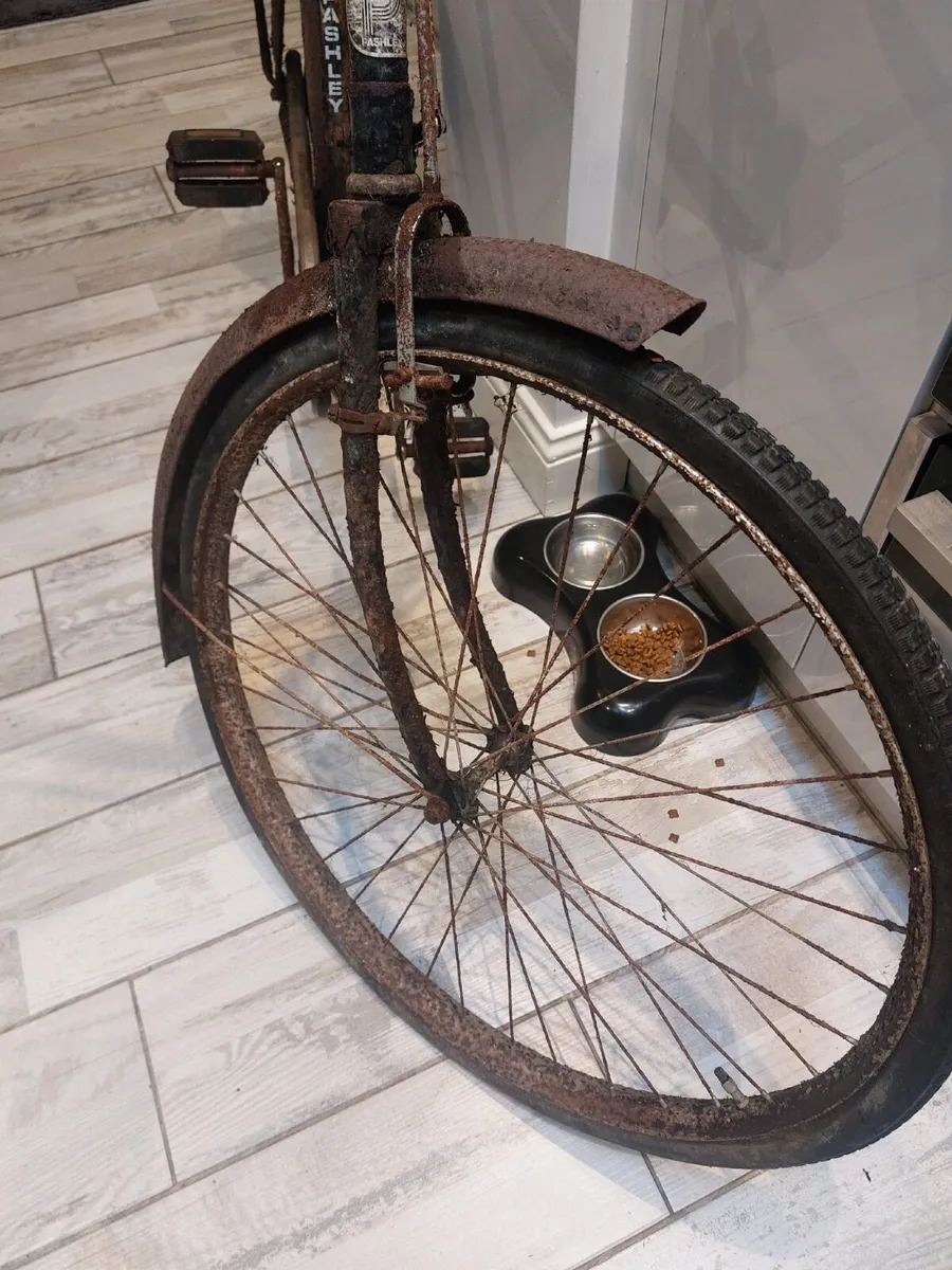 High Nelly Bicycle - Image 1