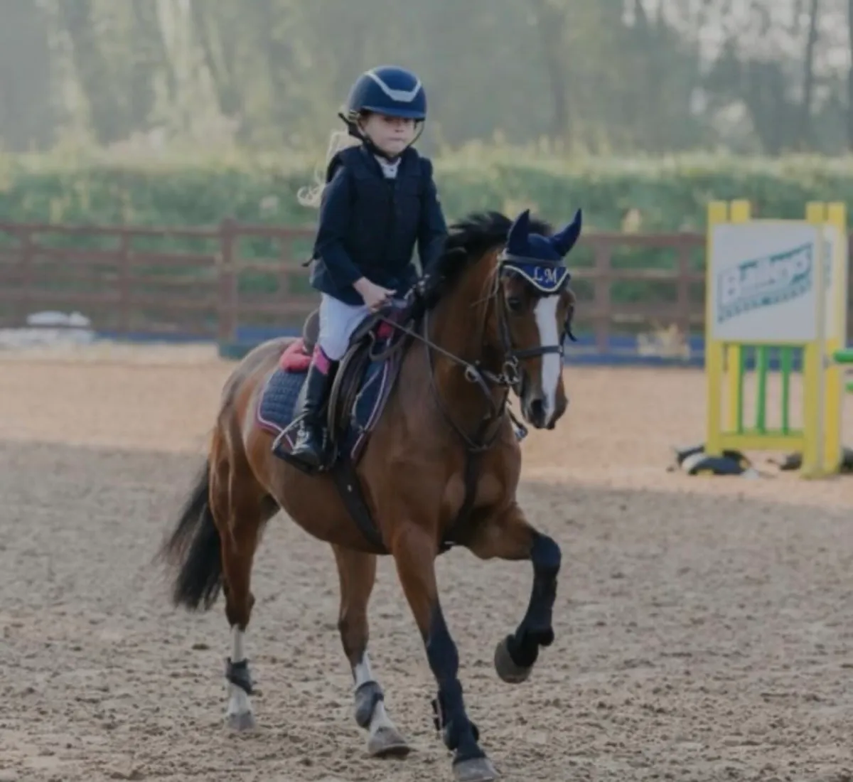 122cm WH / SJ Pony - Image 1