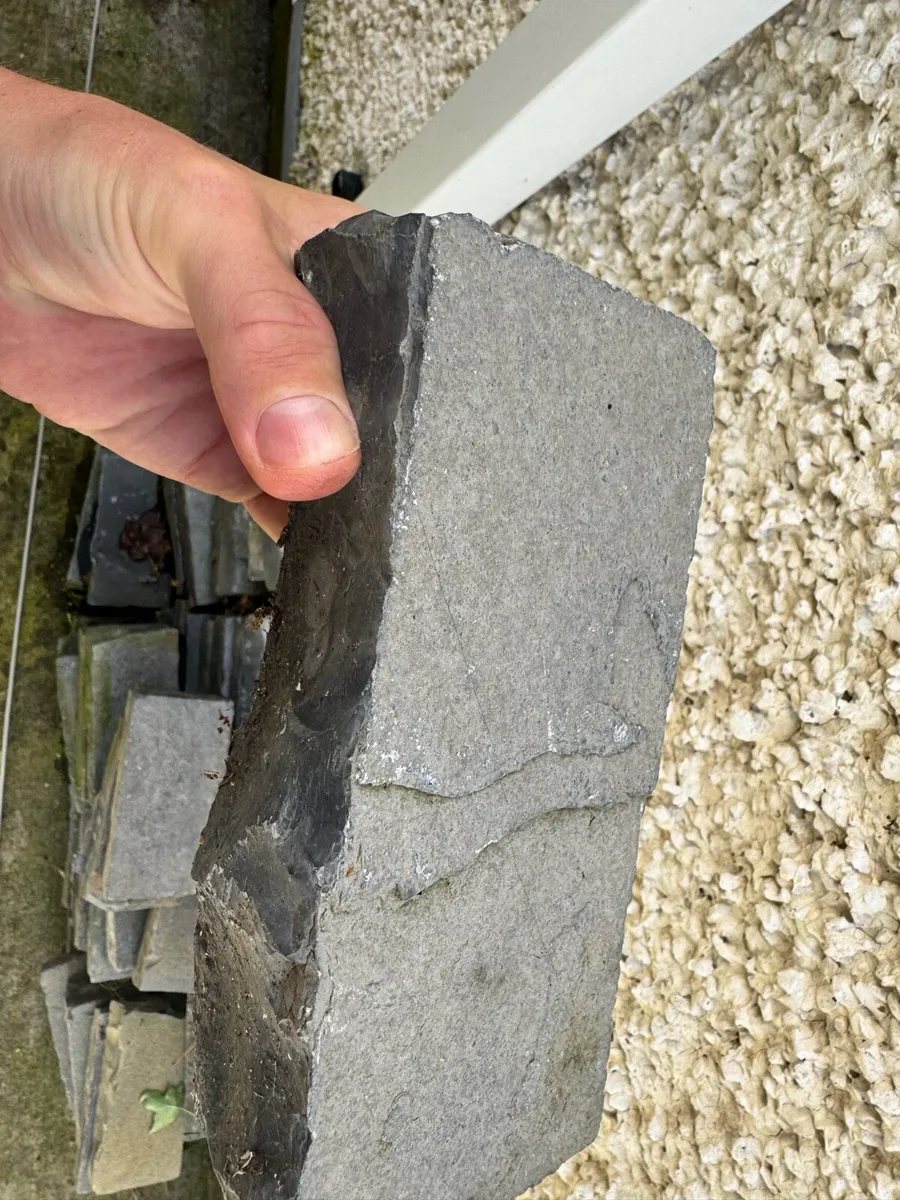 Bricks - Image 1