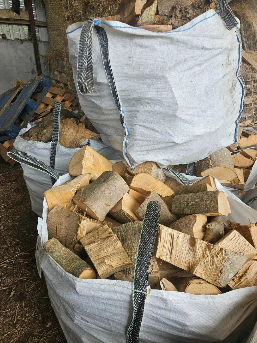 Firewood - hardwood - great heat - Image 4