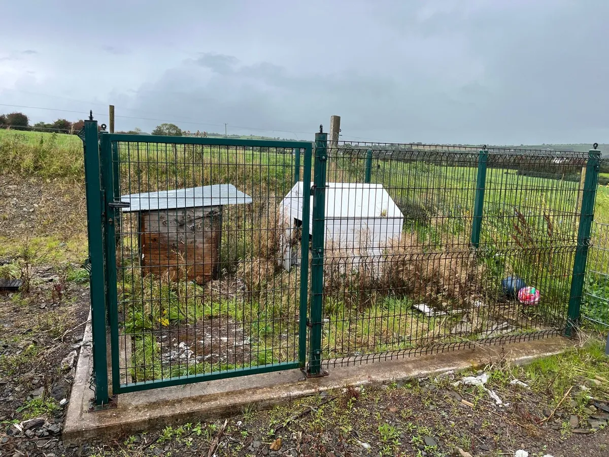 Dog Run/Pen - Image 1