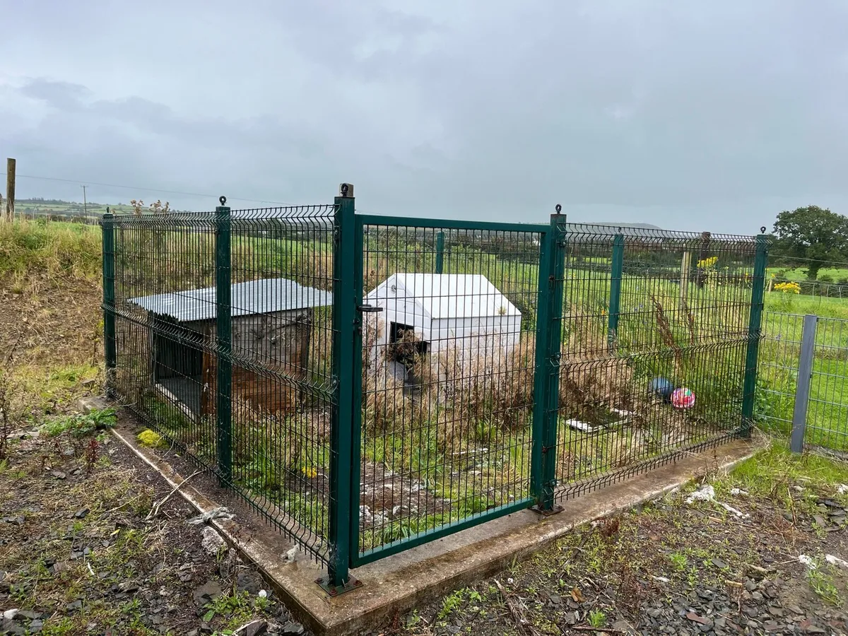 Dog Run/Pen - Image 2