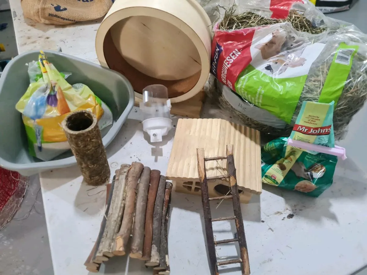 Pet equipment - Image 1