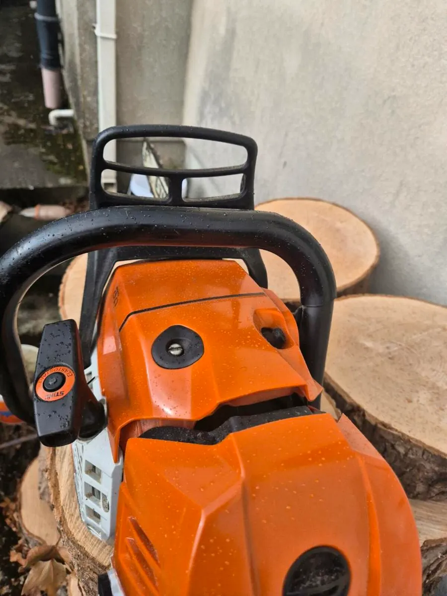 Chainsaw - Image 4