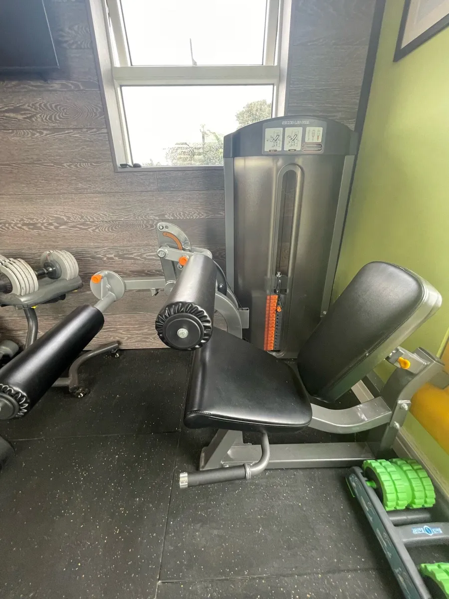 Pulse Seated Leg Curl Machine - Image 1