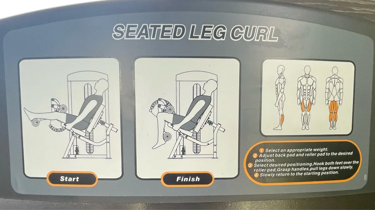 Pulse Seated Leg Curl Machine - Image 2