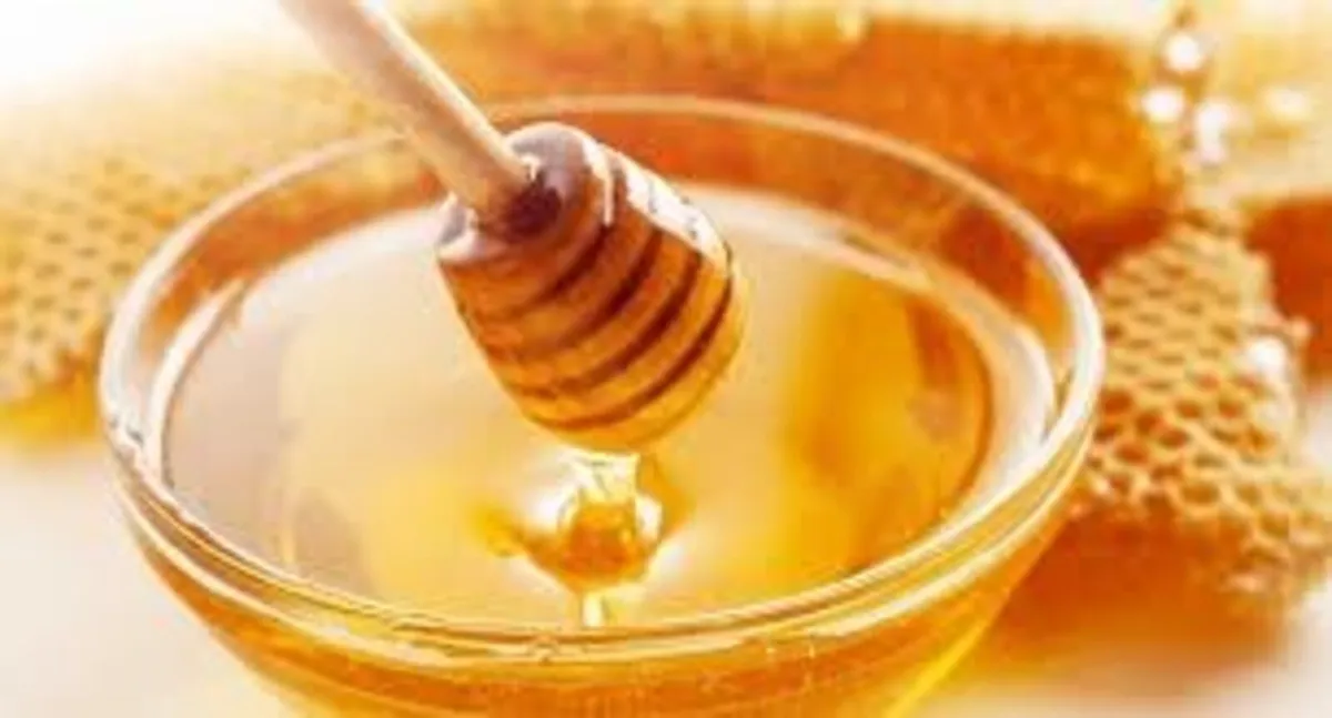Homemade Organic Honey Lip Gloss - Image 2