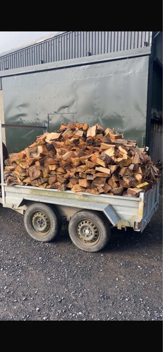 Firewood - Image 1