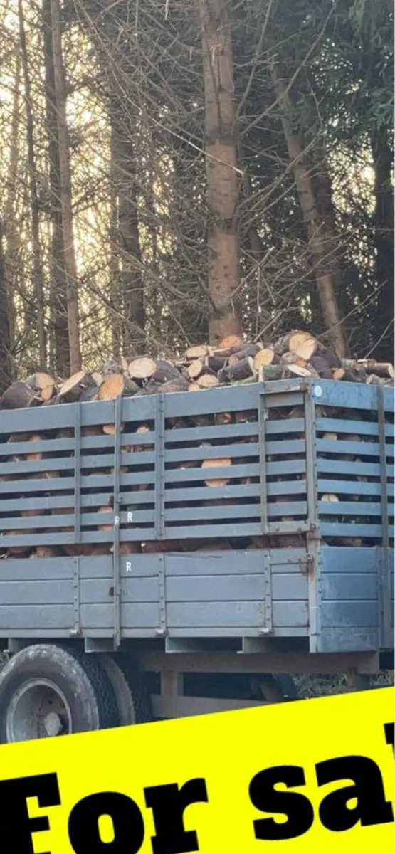 Firewood - Image 3