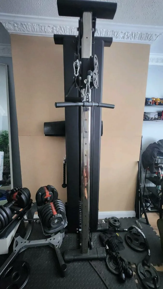 Wall mounted Cable fly machine.. - Image 1