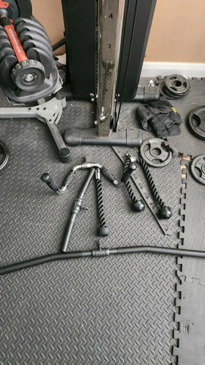 Wall mounted Cable fly machine.. - Image 4